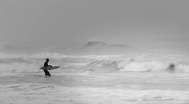 Alone in the Fog by David Kay Alone in the Fog by David Kay