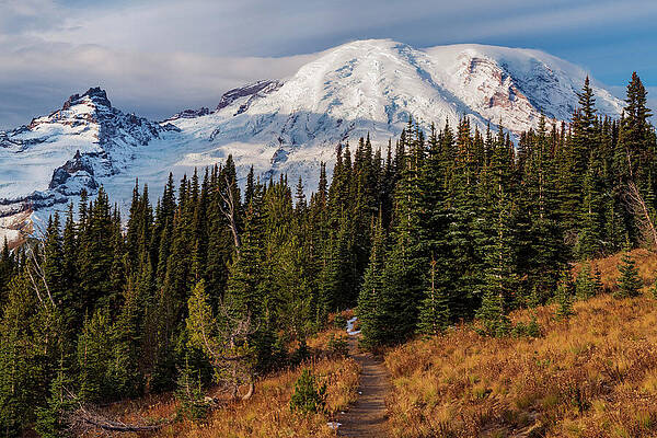 Along the Trail by Patrick Campbell Along the Trail by Patrick Campbell