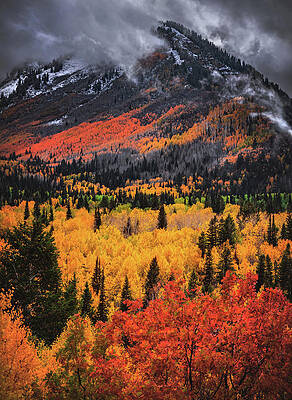 Wall Art - Photograph - Alpine Loop Aspens and Mount Timpanogos, Utah - Vertical by Abbie Matthews