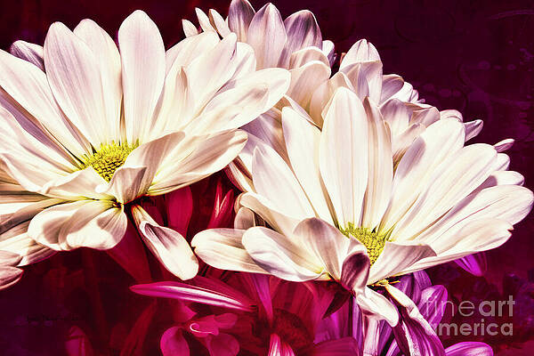 Wall Art - Digital Art - Amid Passion by Macro Abundance Art