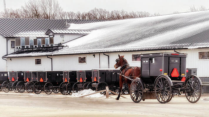 Amish Buggy Parking by Susan Rissi Tregoning Amish Buggy Parking by Susan Rissi Tregoning