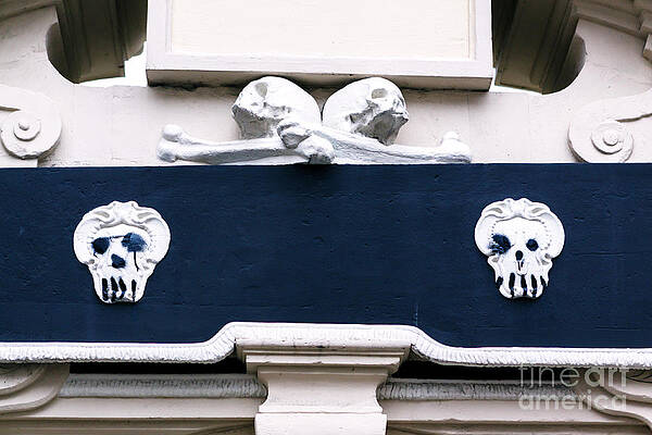 Amsterdam Skulls on the Wall by John Rizzuto Amsterdam Skulls on the Wall by John Rizzuto