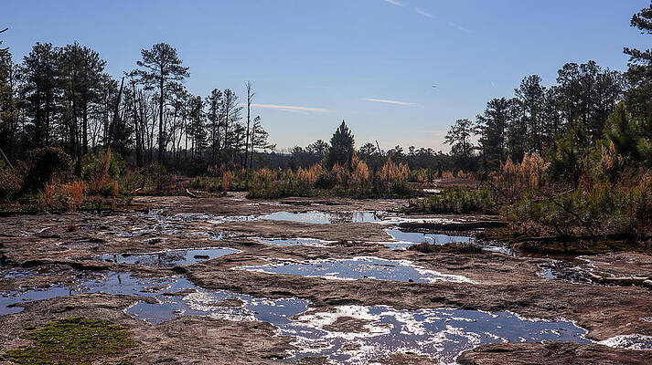 An Arabia Mountain Afternoon by Ed Williams An Arabia Mountain Afternoon by Ed Williams