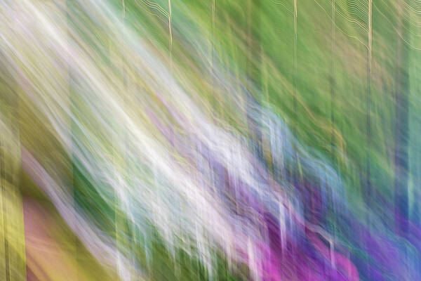 Wall Art - Photograph - An Art of Balance by Christi Kraft