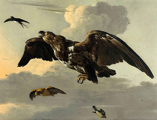 An Eagle, Swallow, Snipe and Finch in flight Print by Melchior d'Hondecoeter