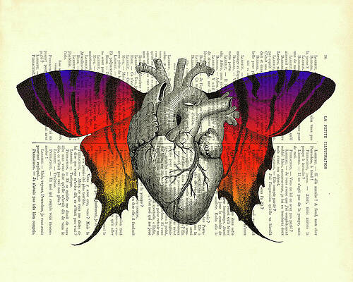 Butterfly Wing Sandal Fashion Illustration Art Print NY – A Wincy Glass N  Design