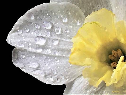 And Some Rain Must Fall by Angela Davies And Some Rain Must Fall by Angela Davies