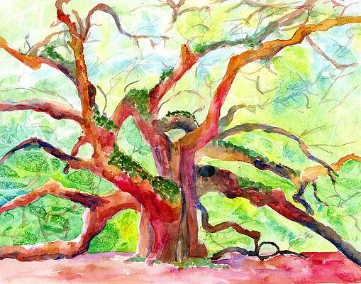 Wall Art - Painting - Angel Oak Tree in Sunshine by Carlin Blahnik CarlinArtWatercolor
