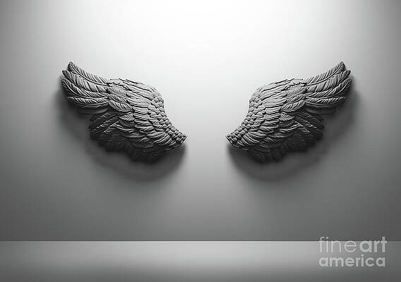 Black and white feathers background. Photograph by Michal Bednarek - Fine  Art America