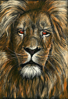 Another Lion by William Underwood Another Lion by William Underwood