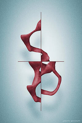 Antelucan Red - Abstract Shell With Cross by Joseph Westrupp Antelucan Red - Abstract Shell With Cross by Joseph Westrupp