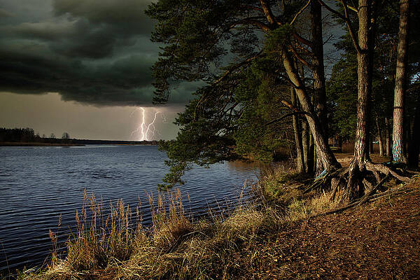 Anticipating the Summer/Jurmala by Aleksandrs Drozdovs Anticipating the Summer/Jurmala by Aleksandrs Drozdovs