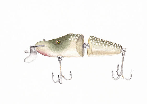 Fishing Lure Paintings for Sale (Page #14 of 14) - Fine Art America