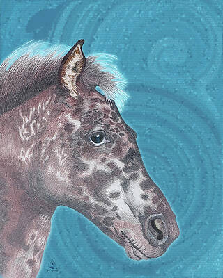 Appaloosa Horse Portrait by Equus Artisan Appaloosa Horse Portrait by Equus Artisan