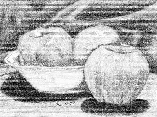 Wall Art - Drawing - Apples 2 sketch by Katrina Gunn