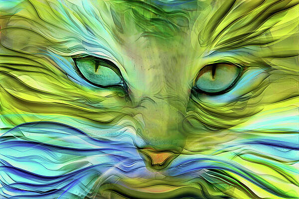 Aqua Kitty by Peggy Collins Aqua Kitty by Peggy Collins