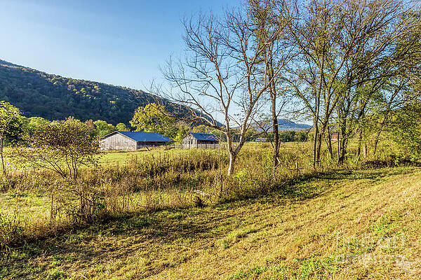 Arkansas Farm In Autumn by Jennifer White Arkansas Farm In Autumn by Jennifer White