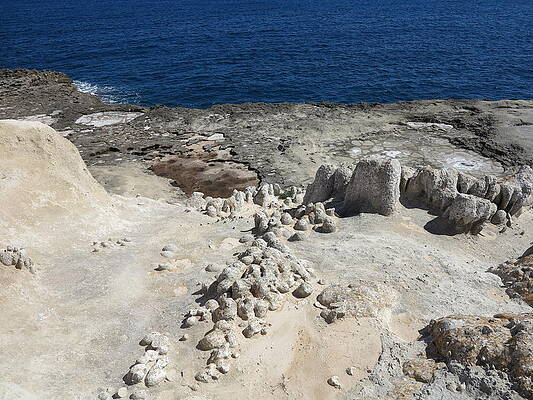 Wall Art - Photograph - Around Cala de Sant Esteve by Petra Rau