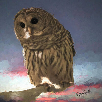 Art portrait of a Barred Owl perching by Rusty R Smith Art portrait of a Barred Owl perching by Rusty R Smith