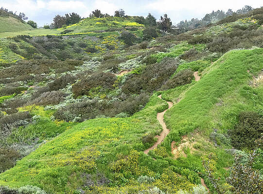 Ascending the Red Tail Trail in Early Spring by Joe Schofield