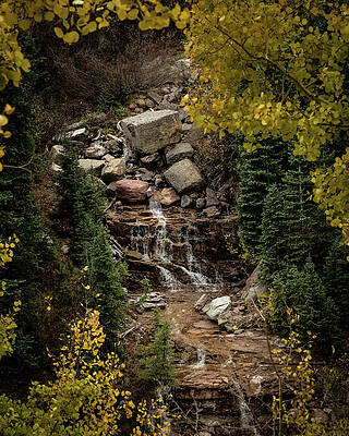 Wall Art featuring the photograph Aspen Frame by Matt Halvorson