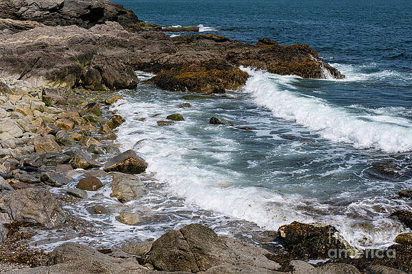 Atlantic Ocean Waves on Cliff Walk Trail by Bob Phillips Atlantic Ocean Waves on Cliff Walk Trail by Bob Phillips