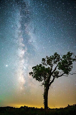 August Milky Way by Meghan Chilcott