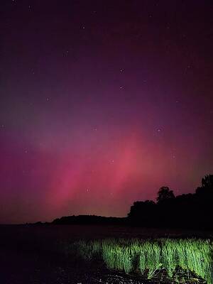 Wall Art - Photograph - Aurora Borealis in Tennessee 2024 by Ally White