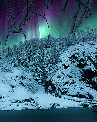 Aurora Dreaming by Scott Slone Aurora Dreaming by Scott Slone