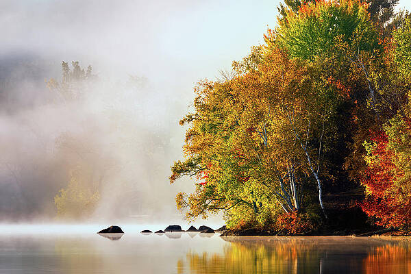 Autumn 34A4534 by Greg Hartford Autumn 34A4534 by Greg Hartford