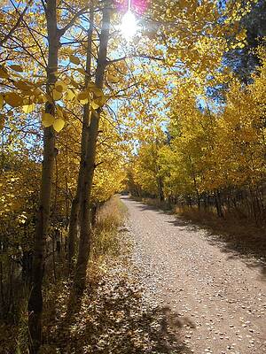 Autumn Along the Mickelson by JK Dooley Autumn Along the Mickelson by JK Dooley