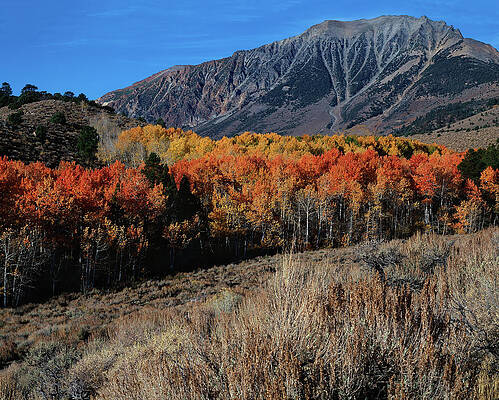 Autumn Along Walker Creek by Paul Breitkreuz Autumn Along Walker Creek by Paul Breitkreuz
