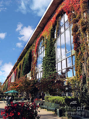 Autumn At Belmont Park by CAC Graphics Autumn At Belmont Park by CAC Graphics