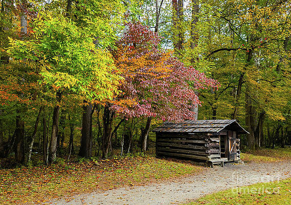 Wall Art - Photograph - Autumn at the Blacksmith Shop by Ron Long Ltd Photography