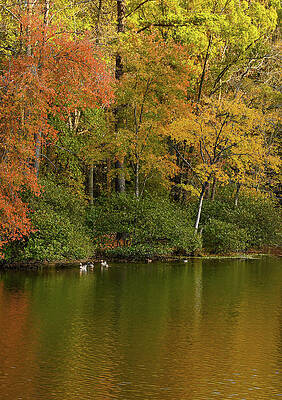 Autumn at the Lake by John Roach Autumn at the Lake by John Roach