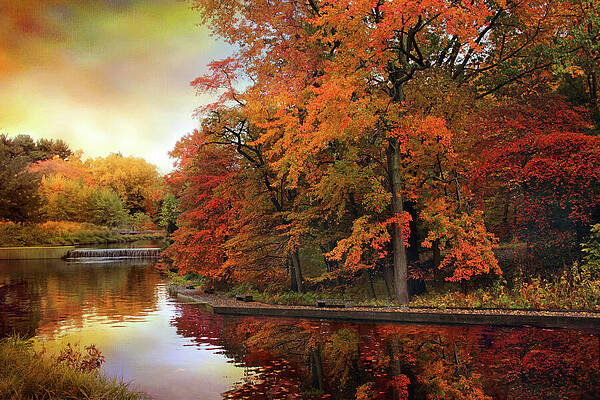 Wall Art - Photograph - Autumn Awakening by Jessica Jenney