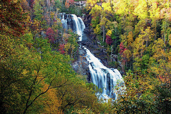 Autumn Colors at Whitewater Falls by Rebecca Higgins Autumn Colors at Whitewater Falls by Rebecca Higgins