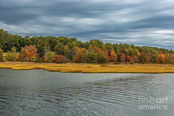 Autumn Colors on the New Meadow's River by Elizabeth Dow Autumn Colors on the New Meadow's River by Elizabeth Dow