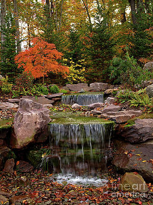 Autumn Falls 3 by Dorothy Lee Autumn Falls 3 by Dorothy Lee
