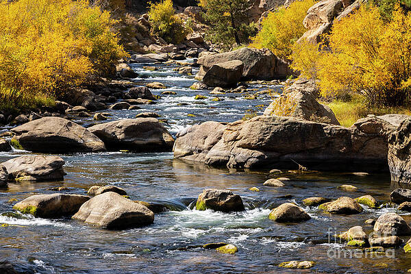 Autumn Flow in Eleven Mile by Steven Krull Autumn Flow in Eleven Mile by Steven Krull