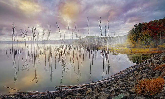 Autumn Foggy Morning by Susan Candelario Autumn Foggy Morning by Susan Candelario