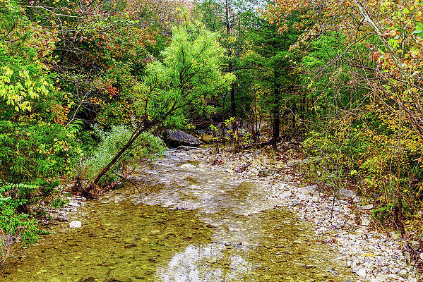 Wall Art - Photograph - Autumn Glare Over Fall Creek by Jennifer White