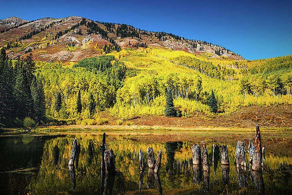 Mountain Photograph - Autumn In The High Country by Jon Snyder