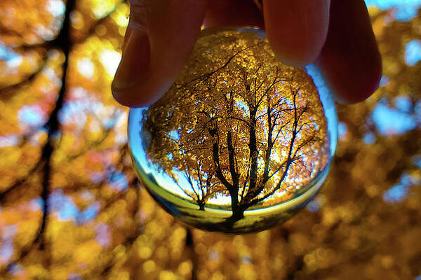 Autumn Inside Crystal by Eileen Bradfield Autumn Inside Crystal by Eileen Bradfield