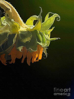 Autumn is Here by Diana Rajala Autumn is Here by Diana Rajala