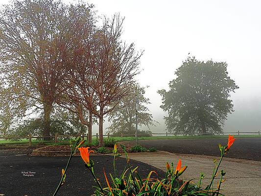 Autumn Morning Fog by Richard Thomas Autumn Morning Fog by Richard Thomas