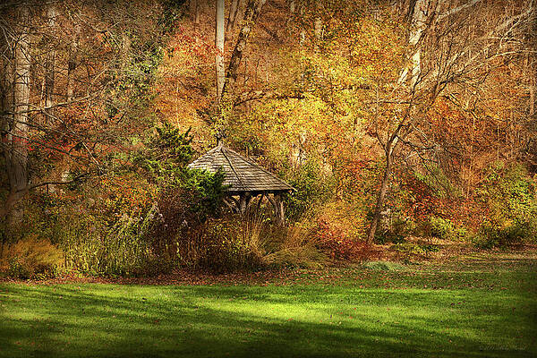 Autumn - Mother Natures house by Mike Savad Autumn - Mother Natures house by Mike Savad