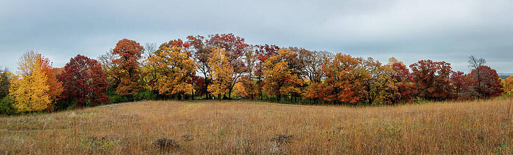 Wall Art - Photograph - Autumn PANO_0067 by Mark Triplett