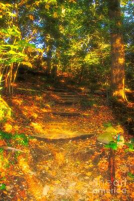 Autumn Path by Karen Silvestri Autumn Path by Karen Silvestri