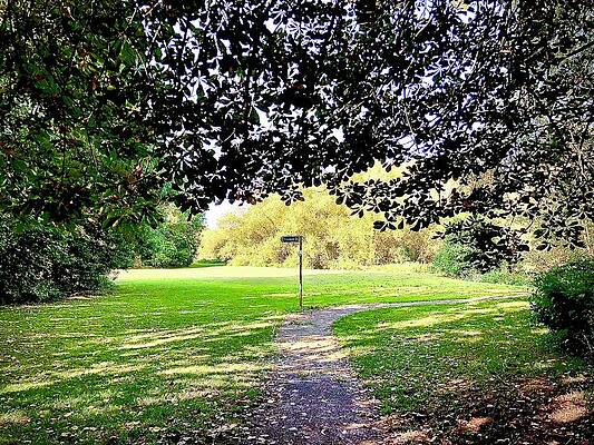 Autumn Playground by Gordon James Autumn Playground by Gordon James